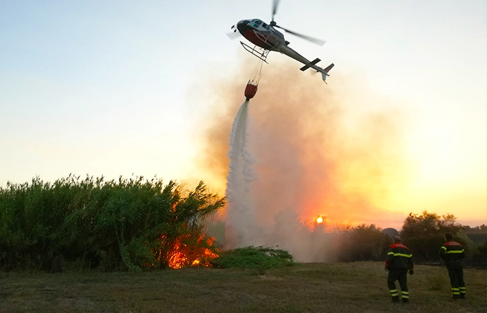 Servizio di antincendio boschivo